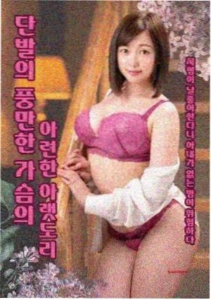青草地 电视剧 2024
